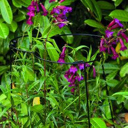 Flexi-Ring 35cm X 60cm