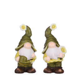 Assorted 30cm Dwarf In Green Or Yellow