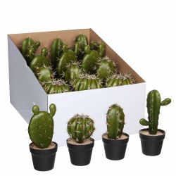 Cactus In Pot Green 4 Assorted 21X9Cm