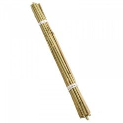 60cm Bamboo Cane