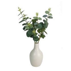 Eucalyptus In Ceramic Vase