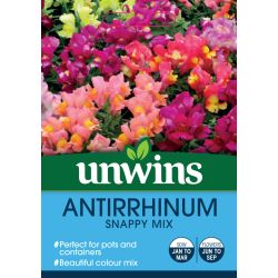 Antirrhinum 'Snappy' Mix