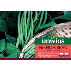 French Bean (Dwarf) Delinel