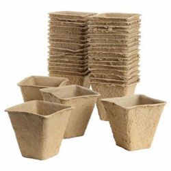 20Pk 6cm Gro-Sure Fibre Pots Square