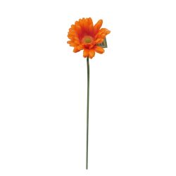 Single Spring Gerbera Orange 53cm
