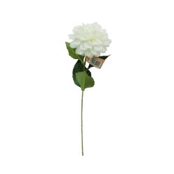 Single Dahlia Stem White 53cm