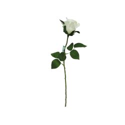 Single Rose Stem White 55cm