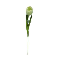 Single Tulip Ivory 53cm
