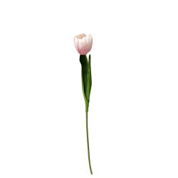 53Cms Single Tulip Pink