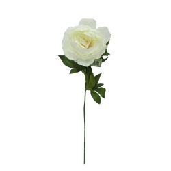 Single Peony Stem White 85cm