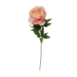 Single Peony Stem Peach 85cm