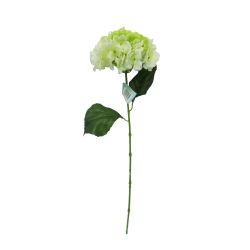 Single Hydrangea Stem White 65cm