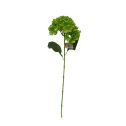 Single Hydrangea Stem Green 65cm