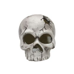 Skull with Changing LED Eyes