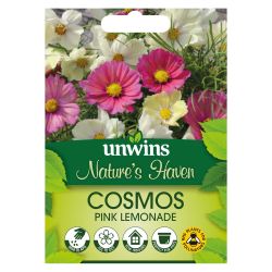 NH Cosmos Pink Lemonade