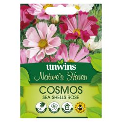 NH Cosmos Sea Shells Rose