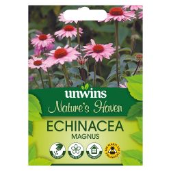 NH Echinacea Magnus