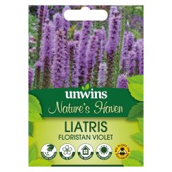NH Liatris Floristan Violet