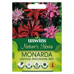 NH Monarda didyma Red Shades Panorama Red
