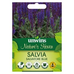 NH Salvia Salvatore Blue