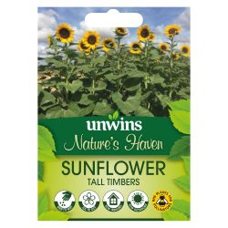 NH Sunflower Tall Timbers