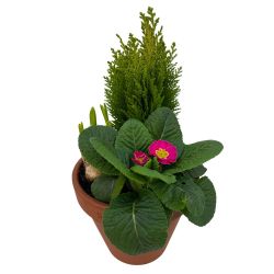 Spring Terracotta Planter