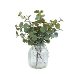Eucalyptus In Glass Vase