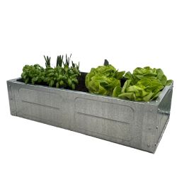 Adman Multigrow Medium Planter