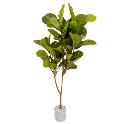 Fiddle Leaf Tree 120cm