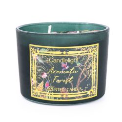 Two Wick Candle - Aromatic Forest Chinoiserie Dark Green