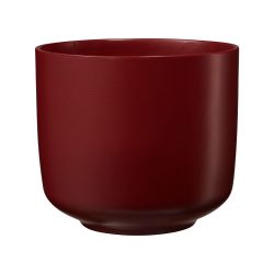 Bari Glamour Poinsettia Pot Matt Red