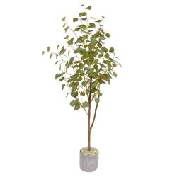 Eucalyptus Tree - 130cm