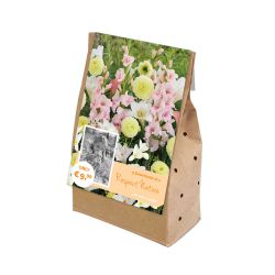 Respect Nature Soft Tones Bulb Collection