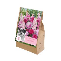 Respect Nature Pink Carpet Bulb Collection