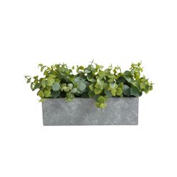 Grenery In Cement Planter