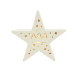 Christmas Star Battery operated LED light 14cm White