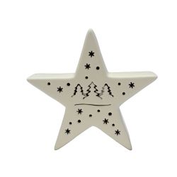 Christmas Star Battery operated LED light 14cm White
