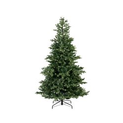 7ft Nordmann Fir Christmas Tree