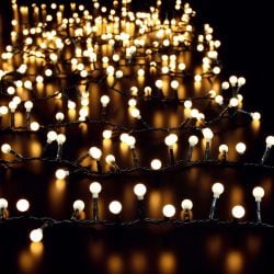 720 Berry Lights Warm White