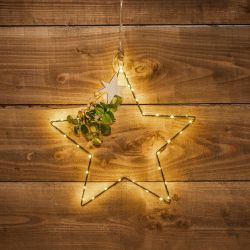 Warm White LED Wired Eucalyptus Star 40cm