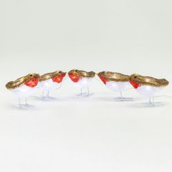 5 Acrylic Robin String Lights