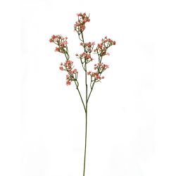 54cms Single Gypsophilia, Pink