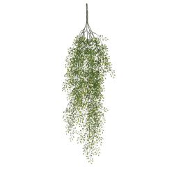 Jasmine Hanging Green
