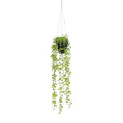Mica Decorations Eucalyptus Artificial Hanging Plant in Pot