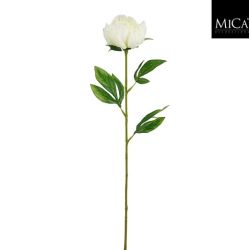 Peony Stem White 60cm