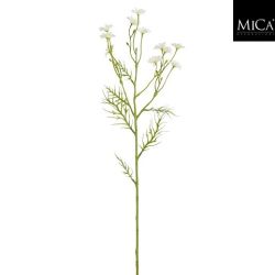 Daisy Stem Cream 71cm