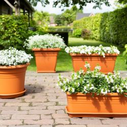 Elho Mediterran Cilindro 40cm Green