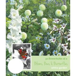 Blooms, Bees & Butterflies Garden White