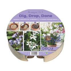 Dig Drop Done Tray 24 Cm