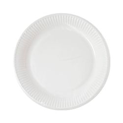 White Paper Plates 20cm 10 Pack